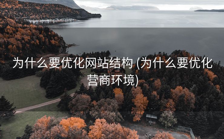 为什么要优化网站结构 (为什么要优化营商环境)