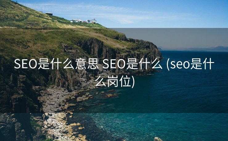 SEO是什么意思 SEO是什么 (seo是什么岗位)
