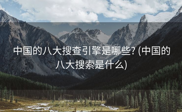 中国的八大搜查引擎是哪些? (中国的八大搜索是什么)