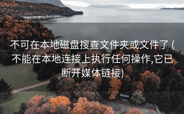不可在本地磁盘搜查文件夹或文件了 (不能在本地连接上执行任何操作,它已断开媒体链接)