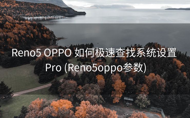Reno5 OPPO 如何极速查找系统设置 Pro (Reno5oppo参数)