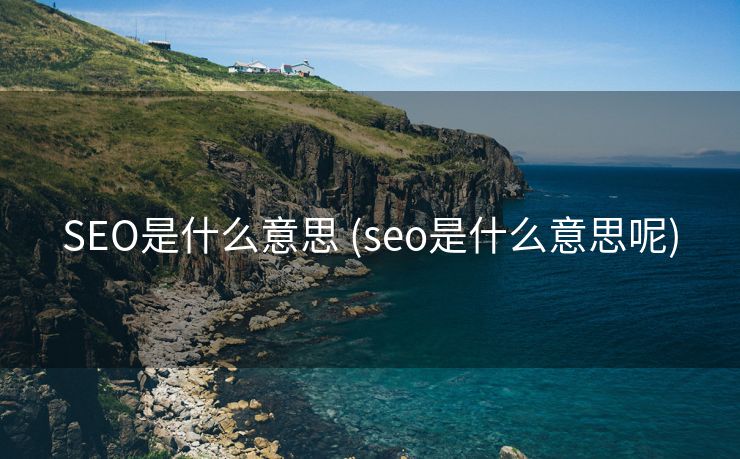 SEO是什么意思 (seo是什么意思呢)