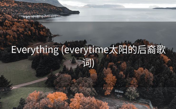 Everything (everytime太阳的后裔歌词)