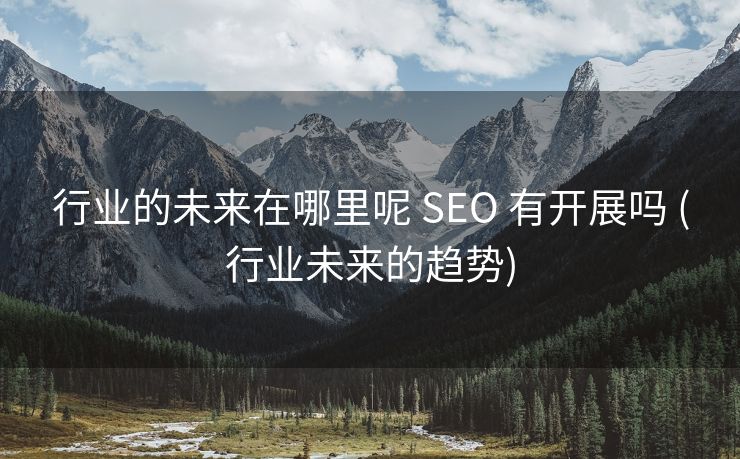 行业的未来在哪里呢 SEO 有开展吗 (行业未来的趋势)