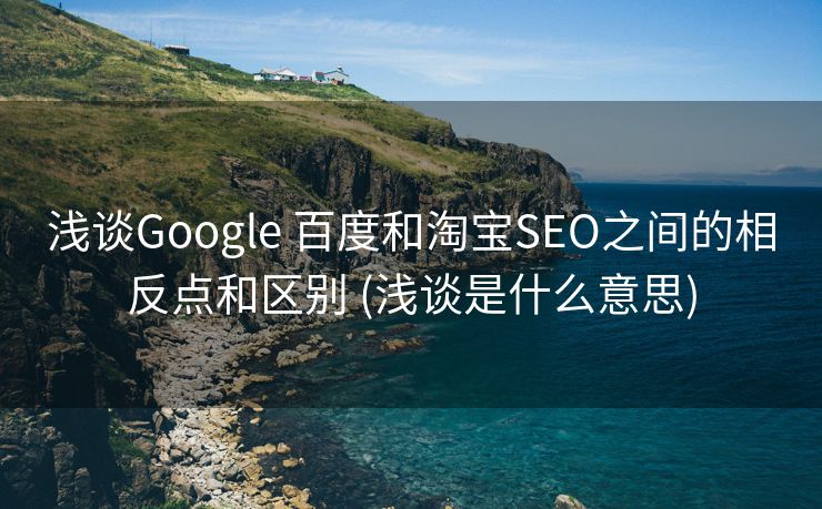 浅谈Google 百度和淘宝SEO之间的相反点和区别 (浅谈是什么意思)