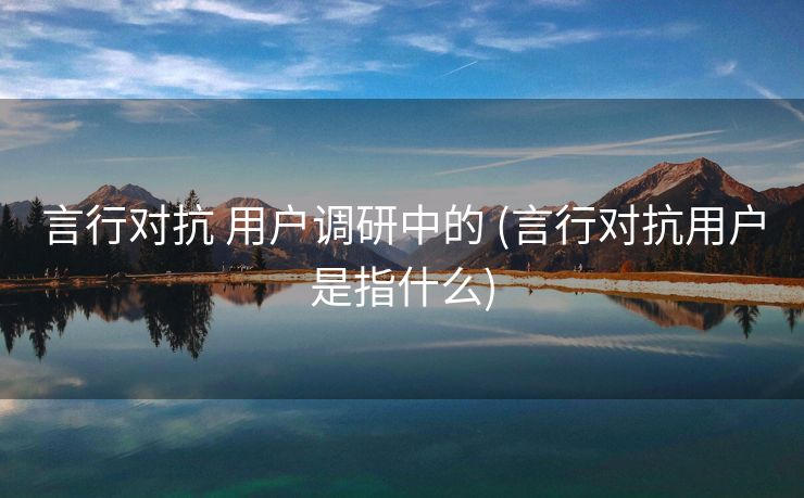 言行对抗 用户调研中的 (言行对抗用户是指什么)