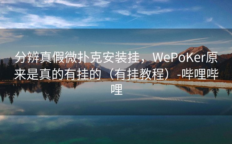 分辨真假微扑克安装挂，WePoKer原来是真的有挂的（有挂教程）-哔哩哔哩