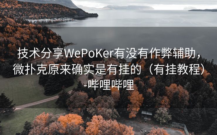 技术分享WePoKer有没有作弊辅助，微扑克原来确实是有挂的（有挂教程）-哔哩哔哩