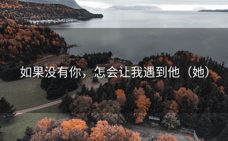 如果没有你，怎会让我遇到他（她）