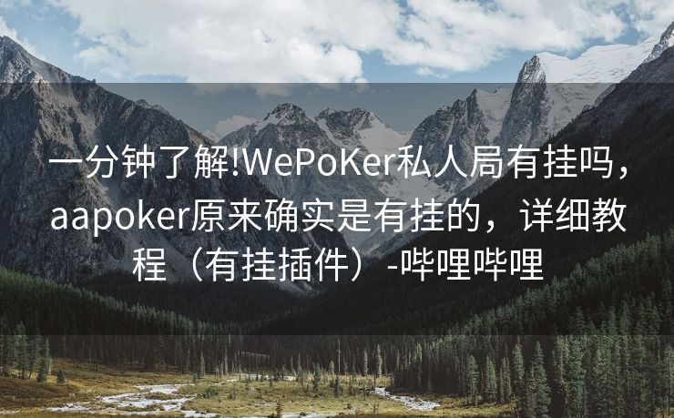 一分钟了解!WePoKer私人局有挂吗，aapoker原来确实是有挂的，详细教程（有挂插件）-哔哩哔哩