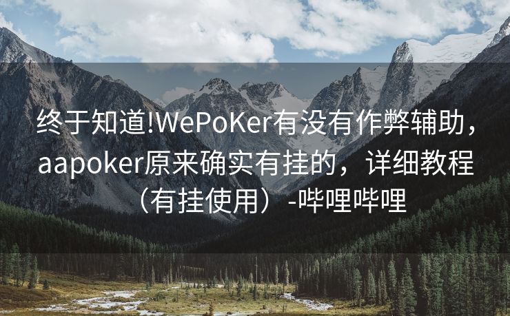 终于知道!WePoKer有没有作弊辅助，aapoker原来确实有挂的，详细教程（有挂使用）-哔哩哔哩
