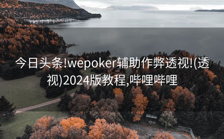 今日头条!wepoker辅助作弊透视!(透视)2024版教程,哔哩哔哩