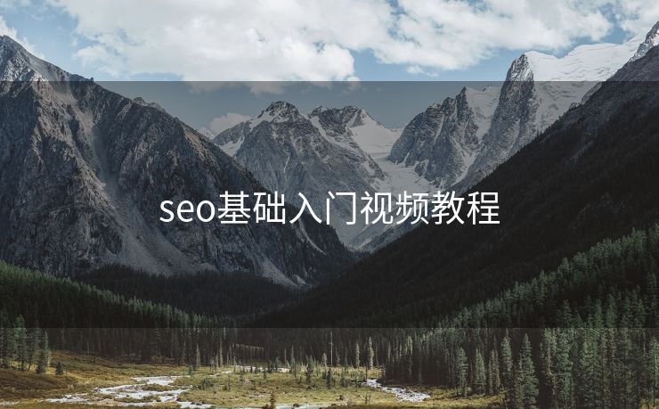 seo基础入门视频教程
