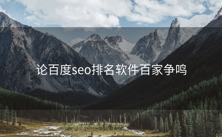 论百度seo排名软件百家争鸣
