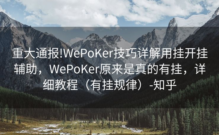 重大通报!WePoKer技巧详解用挂开挂辅助，WePoKer原来是真的有挂，详细教程（有挂规律）-知乎