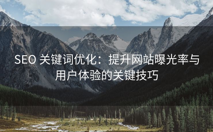 SEO 关键词优化：提升网站曝光率与用户体验的关键技巧