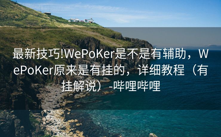 最新技巧!WePoKer是不是有辅助，WePoKer原来是有挂的，详细教程（有挂解说）-哔哩哔哩