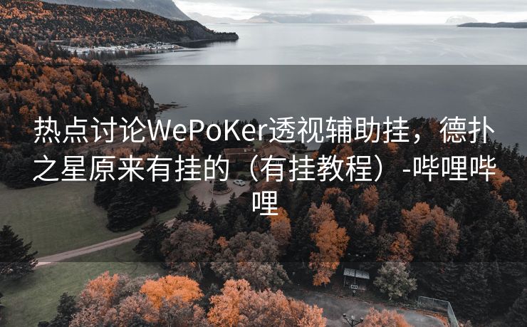 热点讨论WePoKer透视辅助挂，德扑之星原来有挂的（有挂教程）-哔哩哔哩