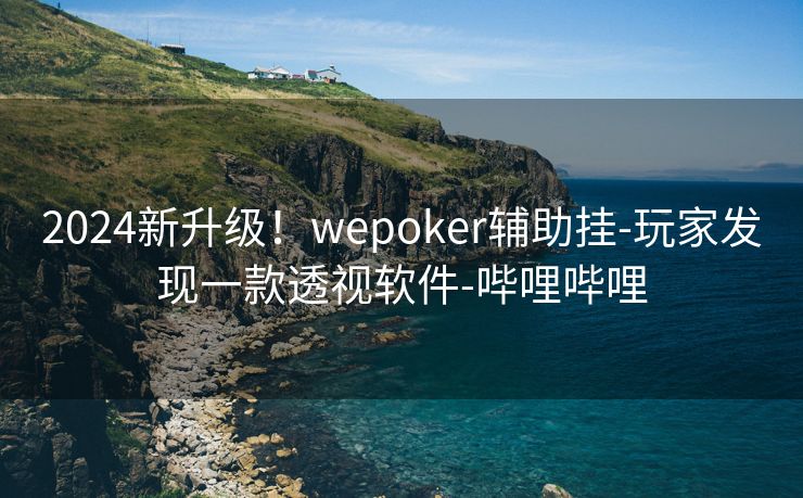2024新升级！wepoker辅助挂-玩家发现一款透视软件-哔哩哔哩