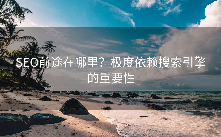 SEO前途在哪里？极度依赖搜索引擎的重要性