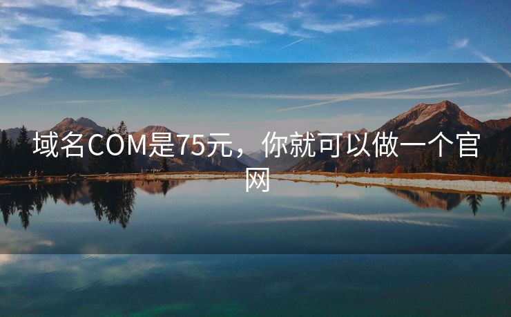 域名COM是75元，你就可以做一个官网