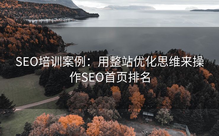 SEO培训案例：用整站优化思维来操作SEO首页排名