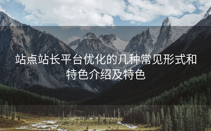 站点站长平台优化的几种常见形式和特色介绍及特色
