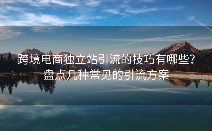 跨境电商独立站引流的技巧有哪些？盘点几种常见的引流方案