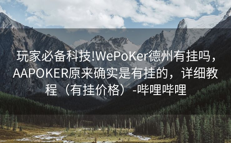 玩家必备科技!WePoKer德州有挂吗，AAPOKER原来确实是有挂的，详细教程（有挂价格）-哔哩哔哩