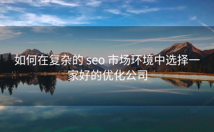 如何在复杂的 seo 市场环境中选择一家好的优化公司