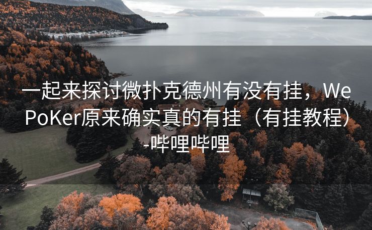 一起来探讨微扑克德州有没有挂，WePoKer原来确实真的有挂（有挂教程）-哔哩哔哩