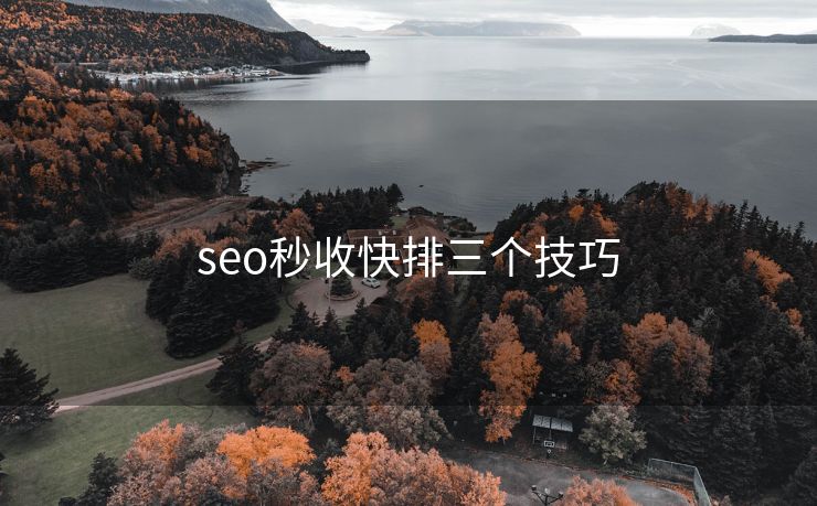 seo秒收快排三个技巧