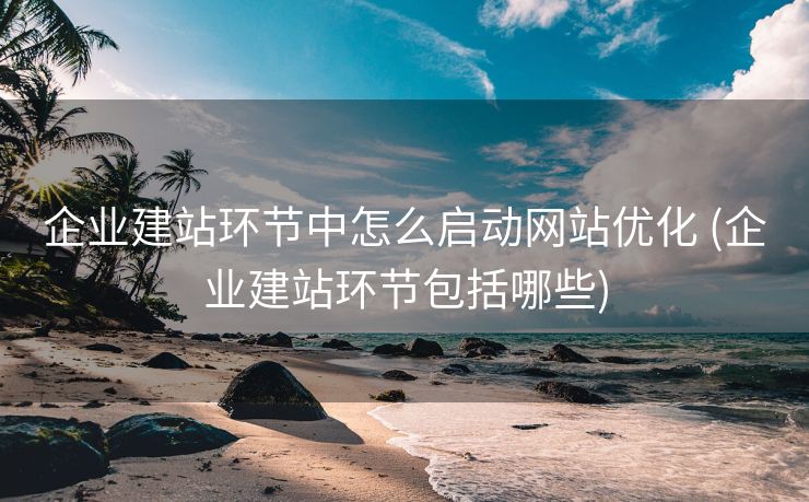 企业建站环节中怎么启动网站优化 (企业建站环节包括哪些)