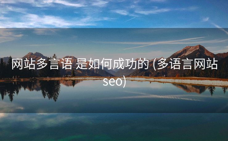 网站多言语 是如何成功的 (多语言网站seo)