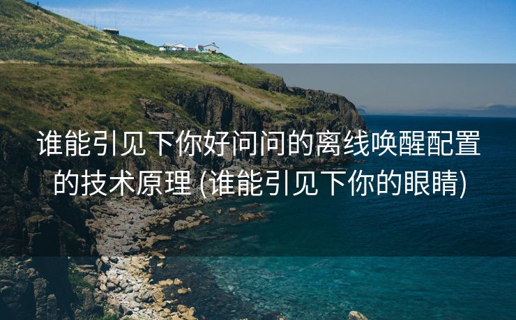 谁能引见下你好问问的离线唤醒配置的技术原理 (谁能引见下你的眼睛)