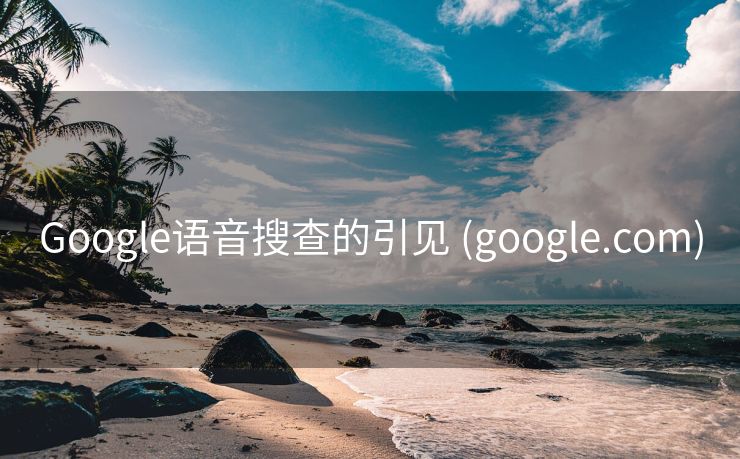 Google语音搜查的引见 (google.com)