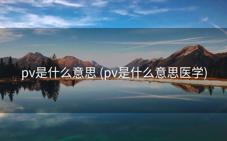 pv是什么意思 (pv是什么意思医学)