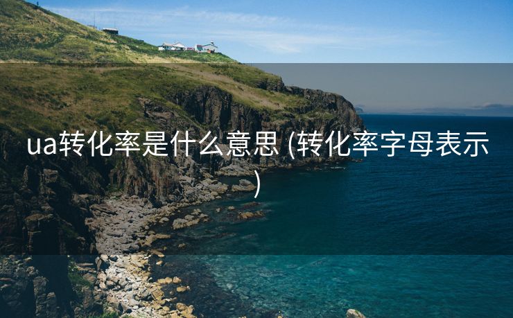 ua转化率是什么意思 (转化率字母表示)
