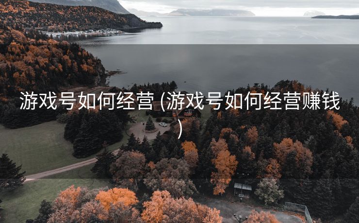 游戏号如何经营 (游戏号如何经营赚钱)