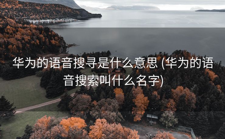 华为的语音搜寻是什么意思 (华为的语音搜索叫什么名字)