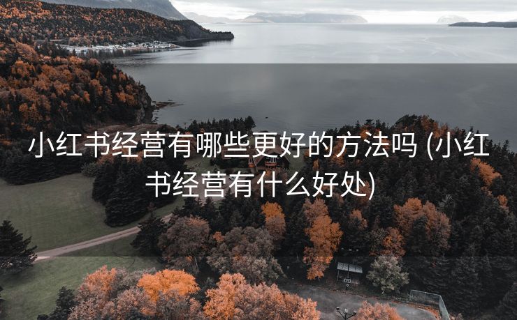 小红书经营有哪些更好的方法吗 (小红书经营有什么好处)
