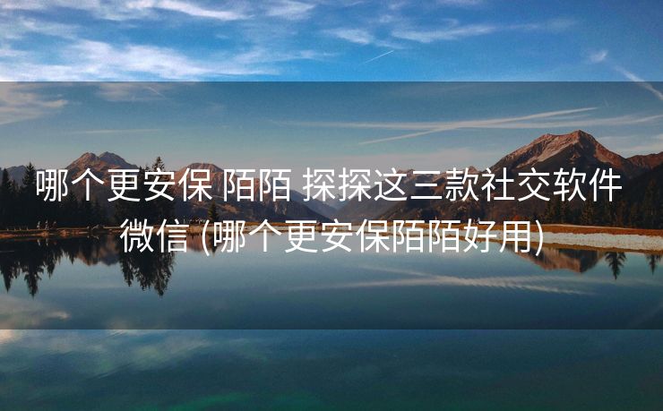 哪个更安保 陌陌 探探这三款社交软件 微信 (哪个更安保陌陌好用)