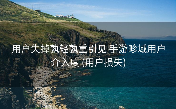 用户失掉孰轻孰重引见 手游畛域用户介入度 (用户损失)
