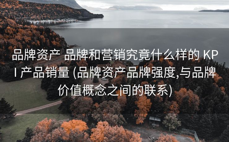 品牌资产 品牌和营销究竟什么样的 KPI 产品销量 (品牌资产品牌强度,与品牌价值概念之间的联系)