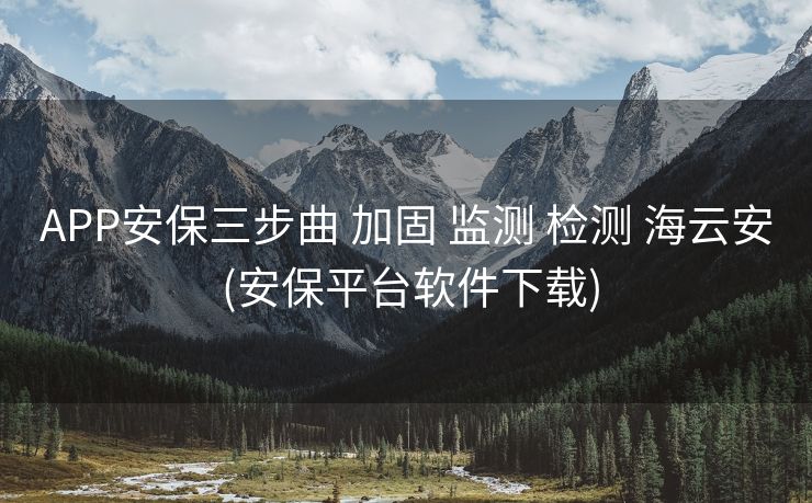 APP安保三步曲 加固 监测 检测 海云安 (安保平台软件下载)