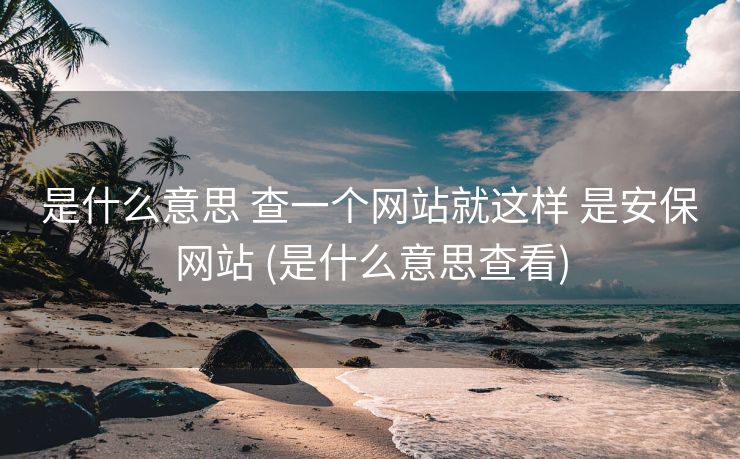 是什么意思 查一个网站就这样 是安保网站 (是什么意思查看)