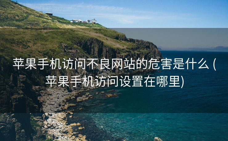 苹果手机访问不良网站的危害是什么 (苹果手机访问设置在哪里)