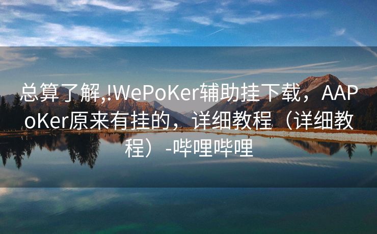 总算了解,!WePoKer辅助挂下载，AAPoKer原来有挂的，详细教程（详细教程）-哔哩哔哩