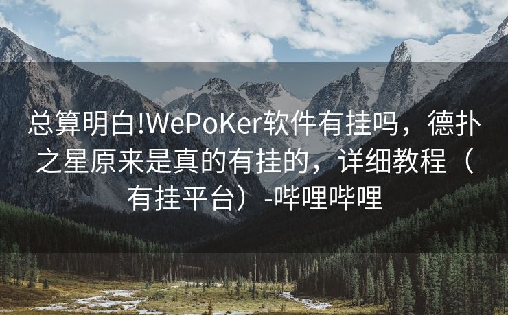 总算明白!WePoKer软件有挂吗，德扑之星原来是真的有挂的，详细教程（有挂平台）-哔哩哔哩