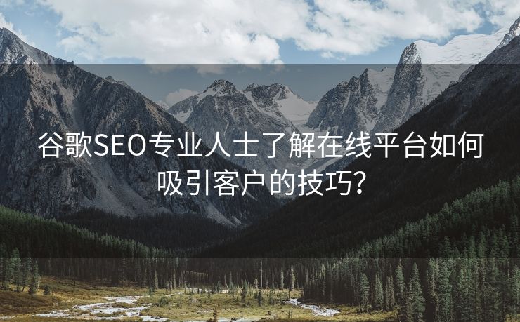 谷歌SEO专业人士了解在线平台如何吸引客户的技巧？